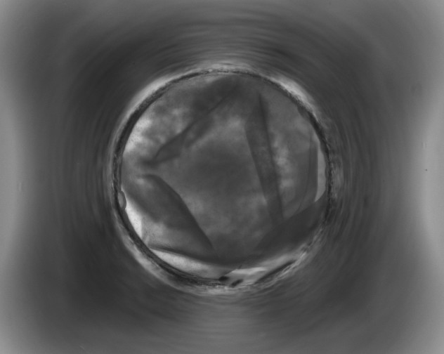 X0000084051038200703092048