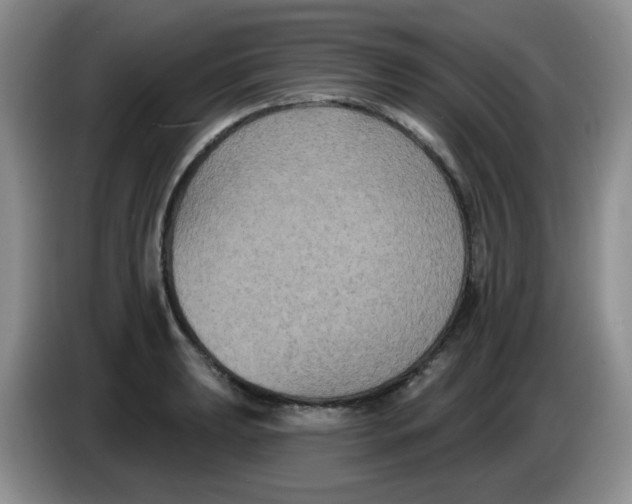 X0000084051039200703092048