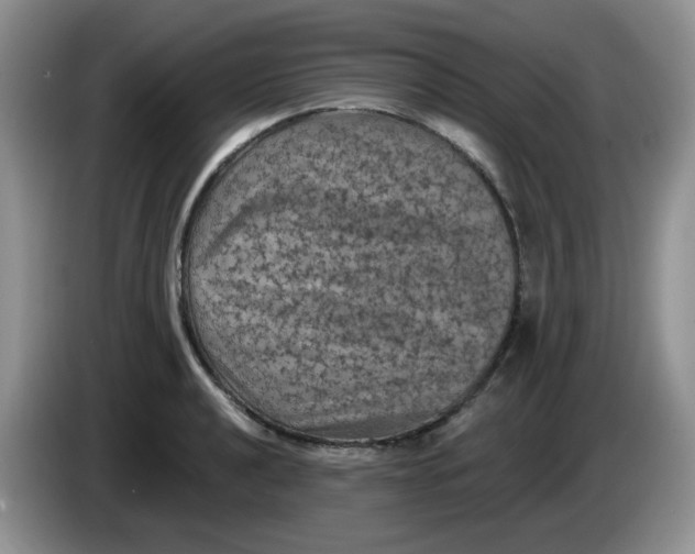 X0000084051040200703092048