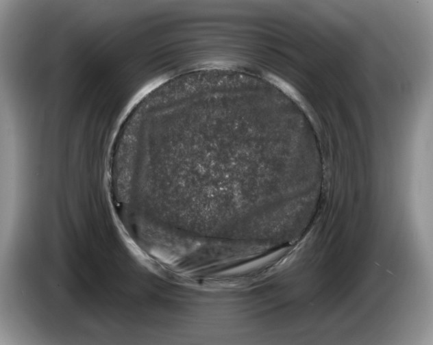 X0000084051042200703092048