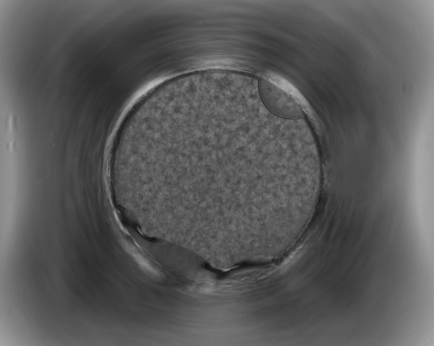 X0000084051043200703092048