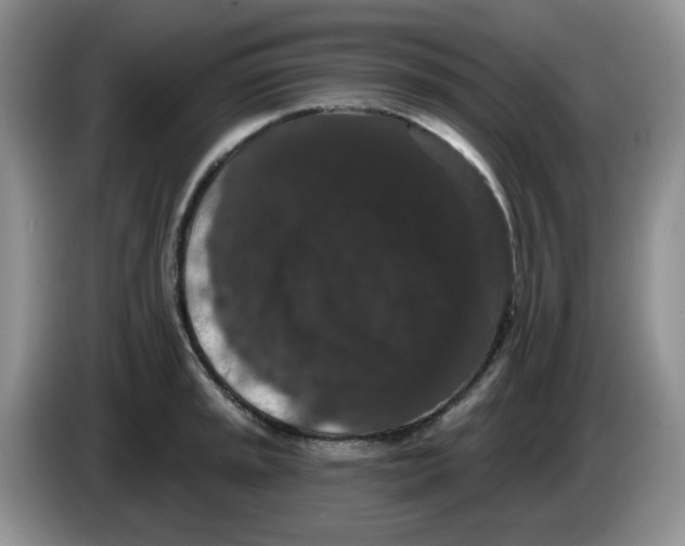 X0000084051045200703092048