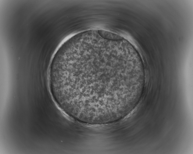 X0000084051048200703092048