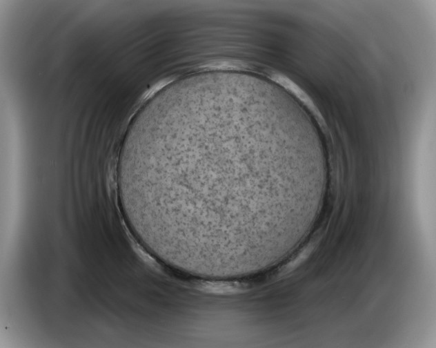 X0000084051049200703092048