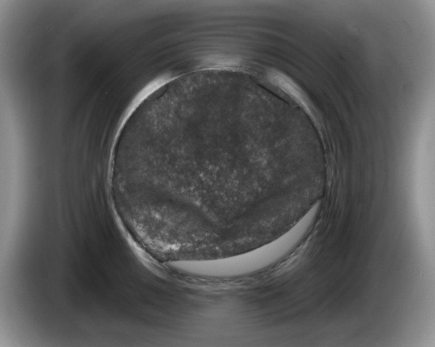 X0000084051050200703092048