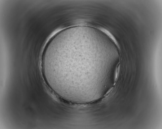 X0000084051051200703092048