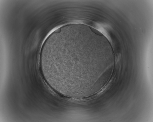 X0000084051052200703092048