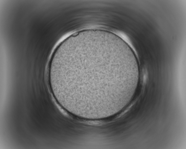 X0000084051053200703092048