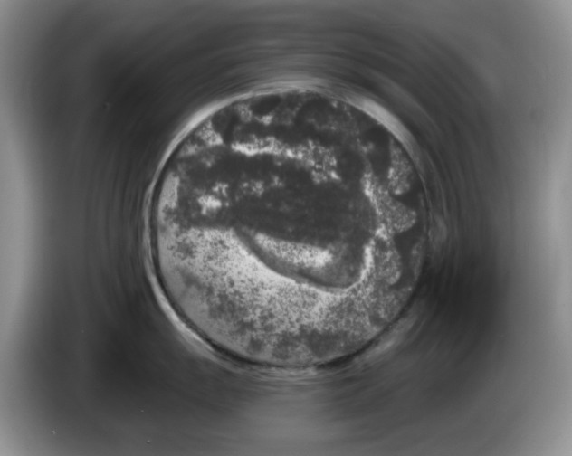 X0000084051055200703092048