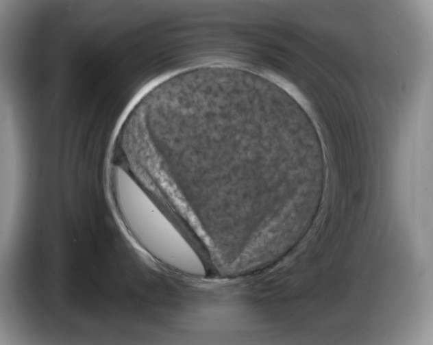 X0000084051056200703092048