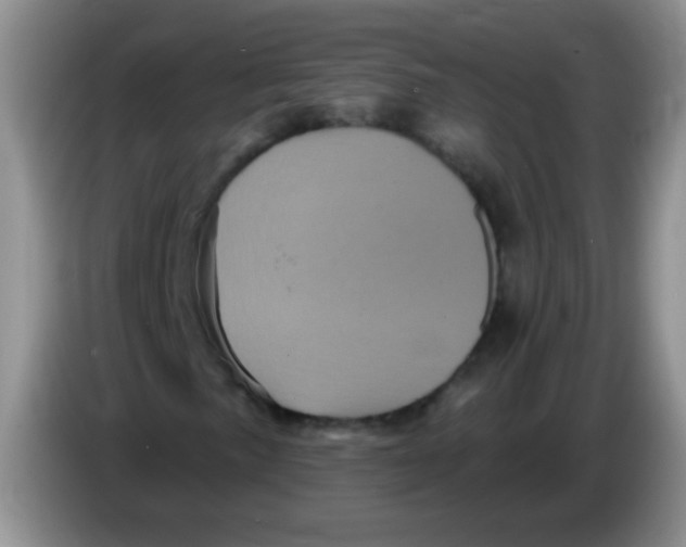 X0000084051057200703092048