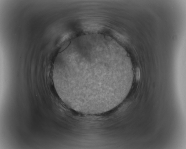 X0000084051059200703092048