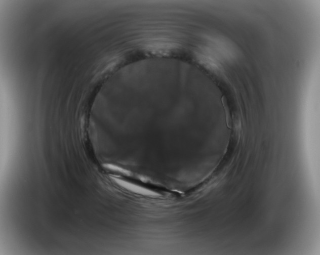 X0000084051060200703092048