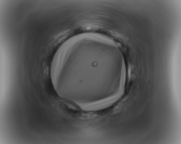 X0000084051061200703092048