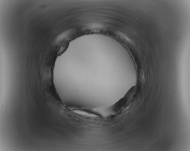 X0000084051062200703092048