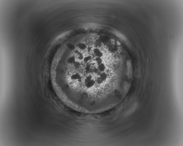 X0000084051063200703092048