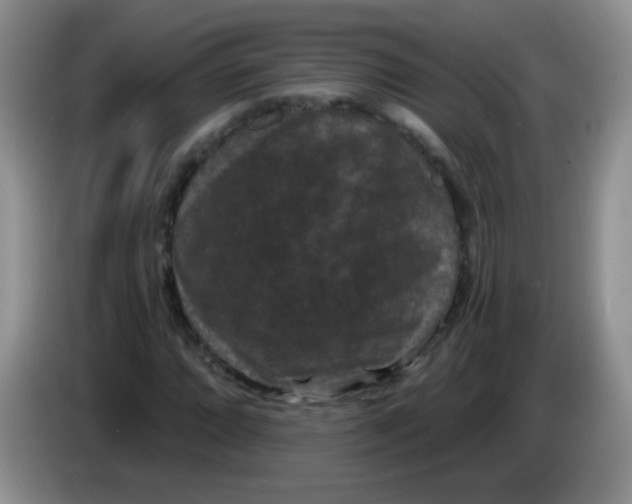 X0000084051064200703092048