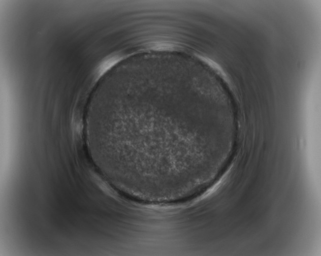 X0000084051065200703092048