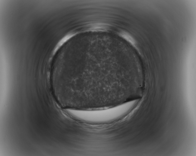 X0000084051066200703092048