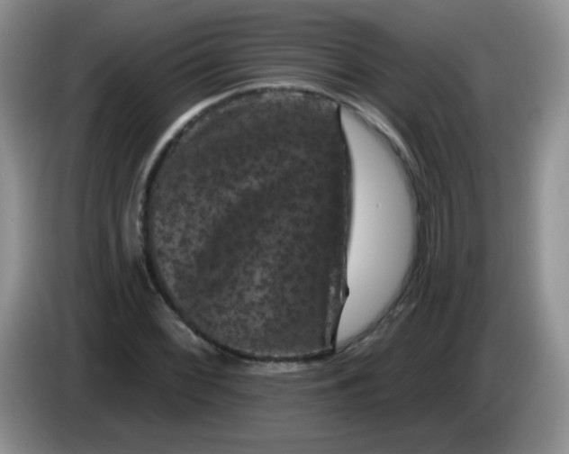 X0000084051068200703092047