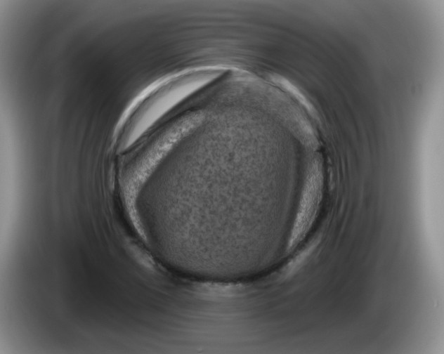 X0000084051069200703092047