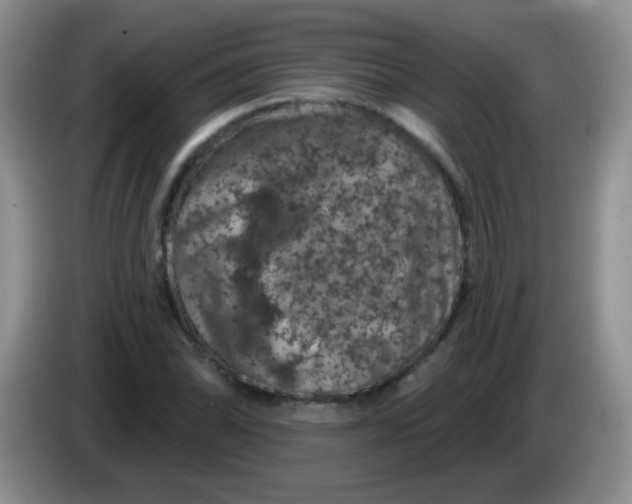 X0000084051070200703092047