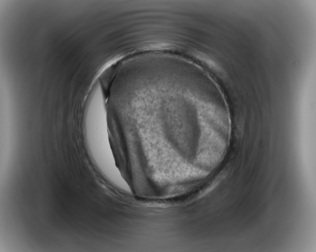 X0000084051073200703092047