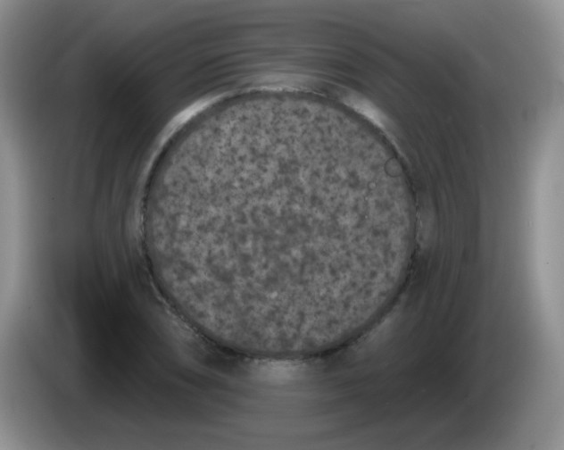 X0000084051074200703092047