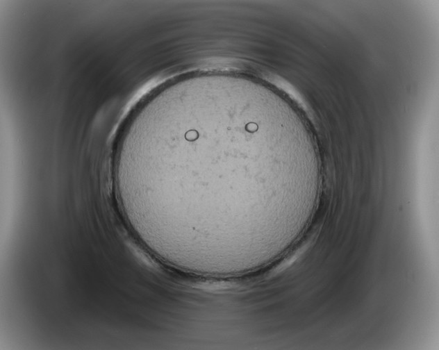 X0000084051075200703092047