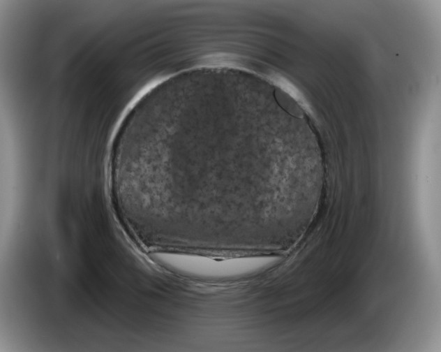 X0000084051076200703092047