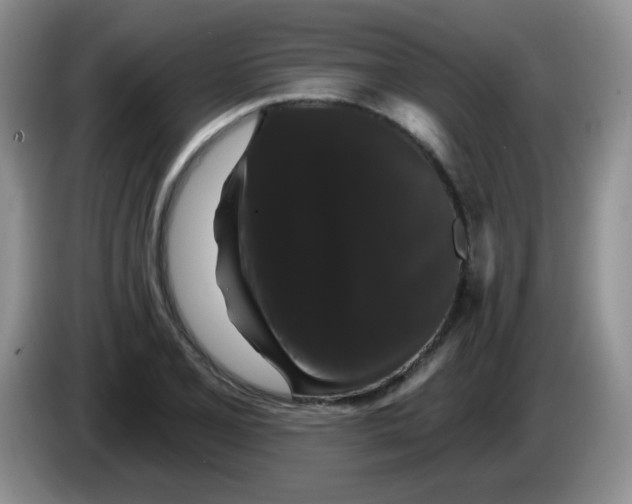 X0000084051077200703092047