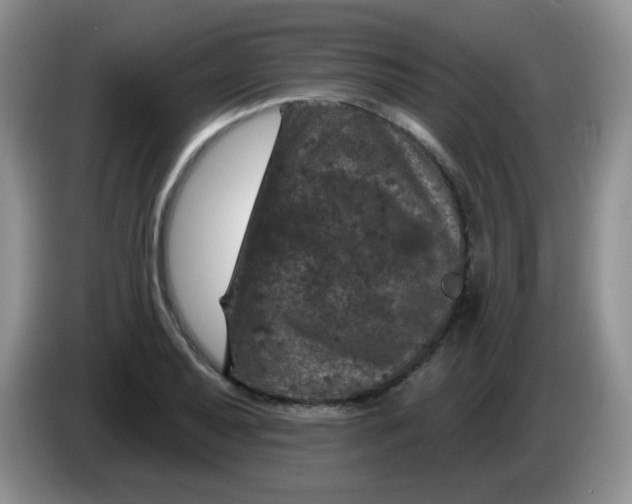 X0000084051079200703092047