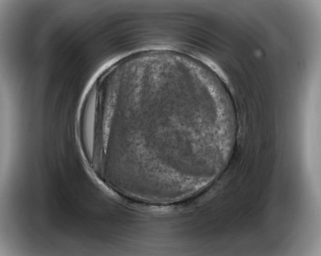 X0000084051080200703092047