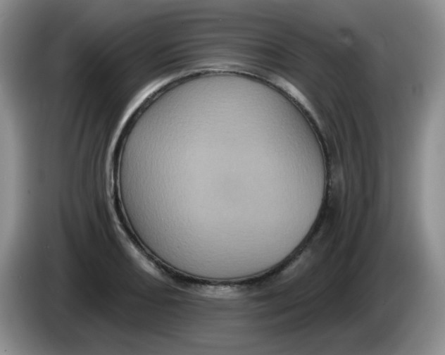 X0000084051082200703092047