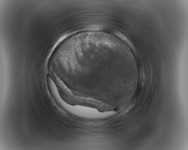 X0000084051083200703092047