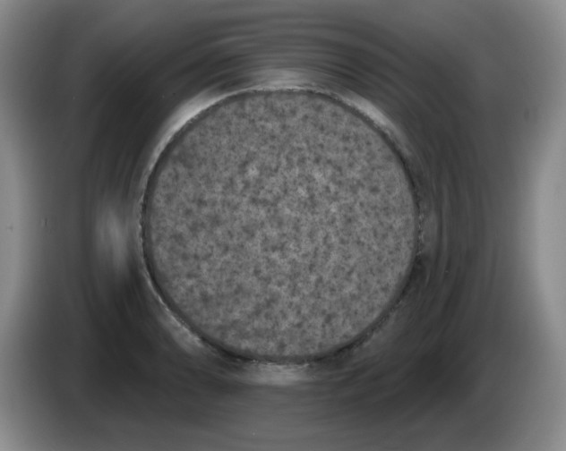 X0000084051086200703092047