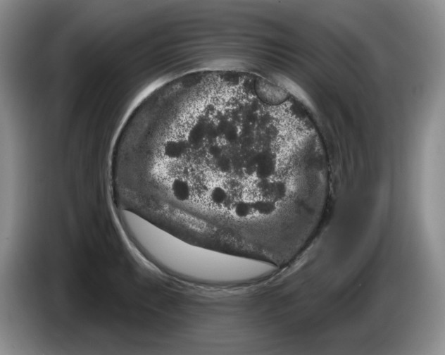 X0000084051087200703092047