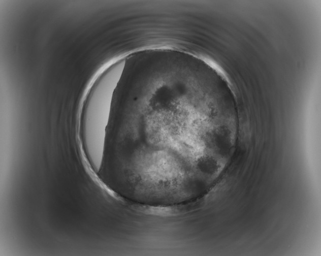 X0000084051088200703092047