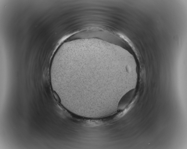 X0000084051089200703092047