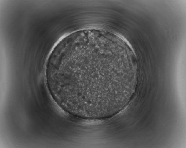 X0000084051091200703092047