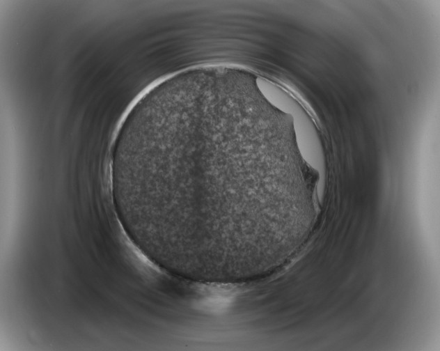 X0000084051092200703092047