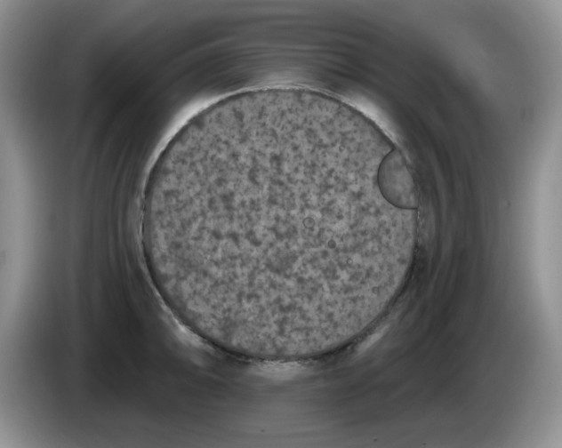 X0000084051094200703092047