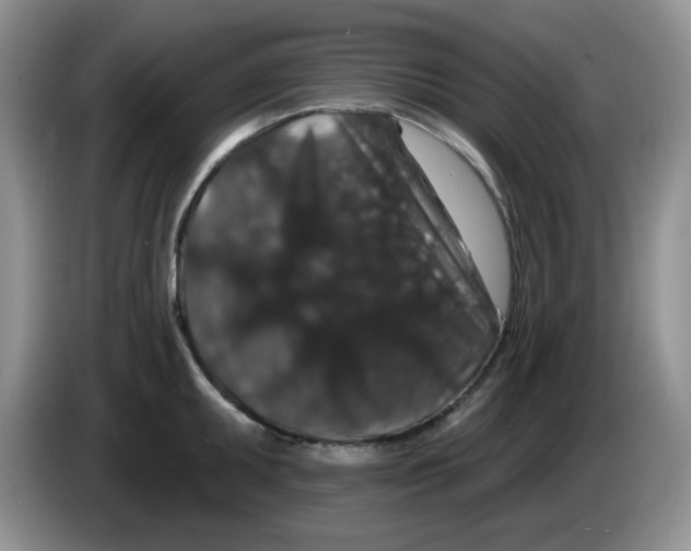 X0000084051095200703092047