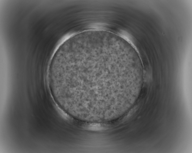 X0000084051098200703092047