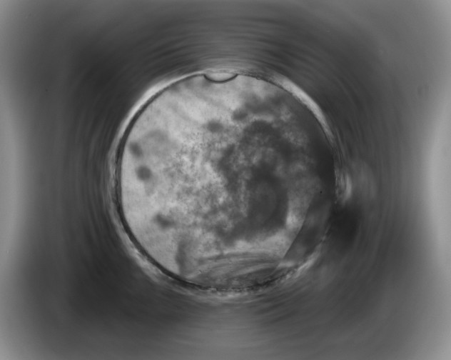 X0000084051099200703092047