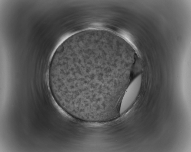 X0000084051100200703092047