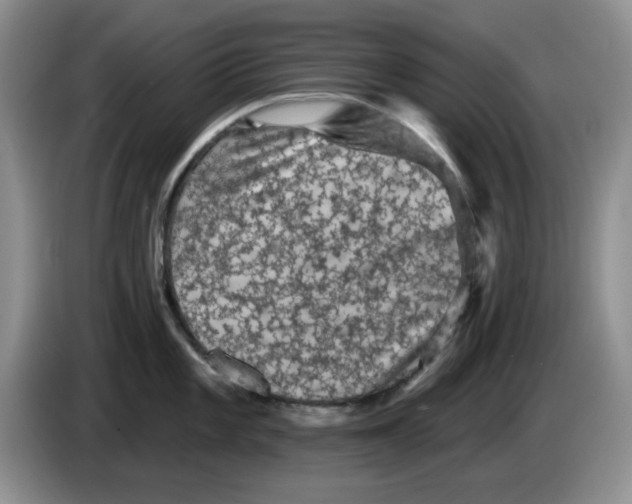 X0000084051101200703092047