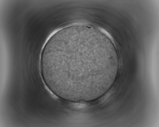 X0000084051103200703092047