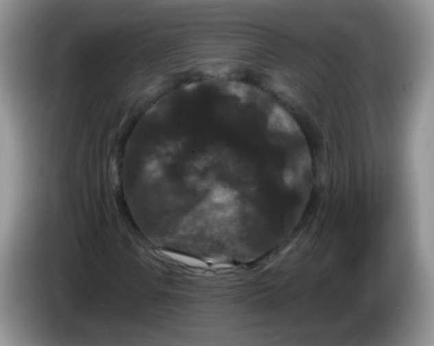 X0000084051106200703092046