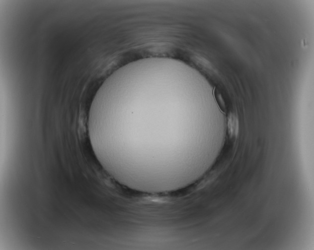 X0000084051107200703092046